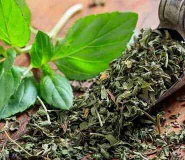 تصویر 4 از قیمت امروز سبزی نعناع خشک صادراتی + خرید تضمینی